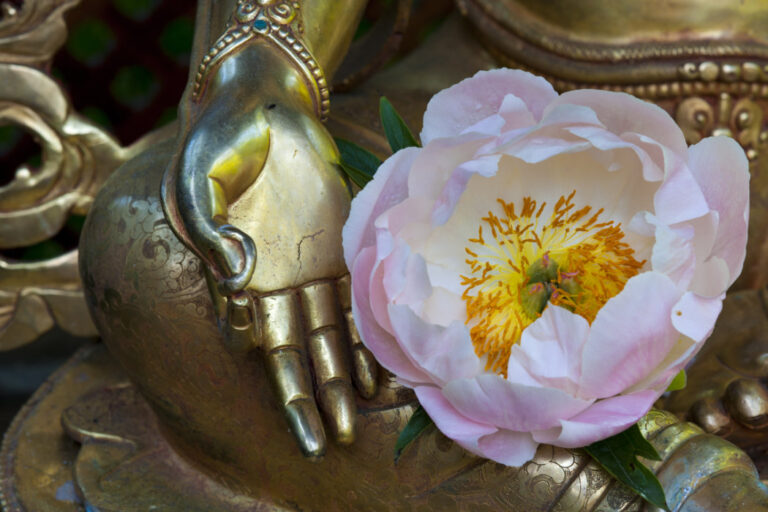 Nepal Himalaya Park, bestehend aus buddhistischer Stupa und hinduistischem Pavillon. Nahaufnahme goldene Buddha-Statue mit rosa Blüte in der Hand.