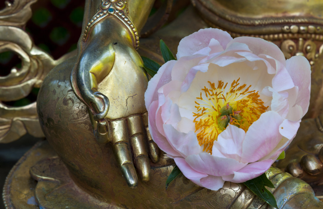 Nepal Himalaya Park von Heribert Wirth, Wiesent, Bayern, Germany Nepal Himalaya Park, bestehend aus buddhistischer Stupa und hinduistischem Pavillon. Nahaufnahme goldene Buddha-Statue mit rosa Blüte in der Hand.